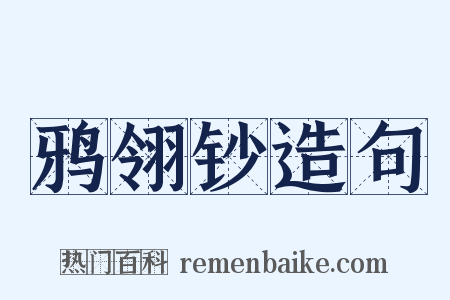 鸦翎钞造句是什么意思的图片